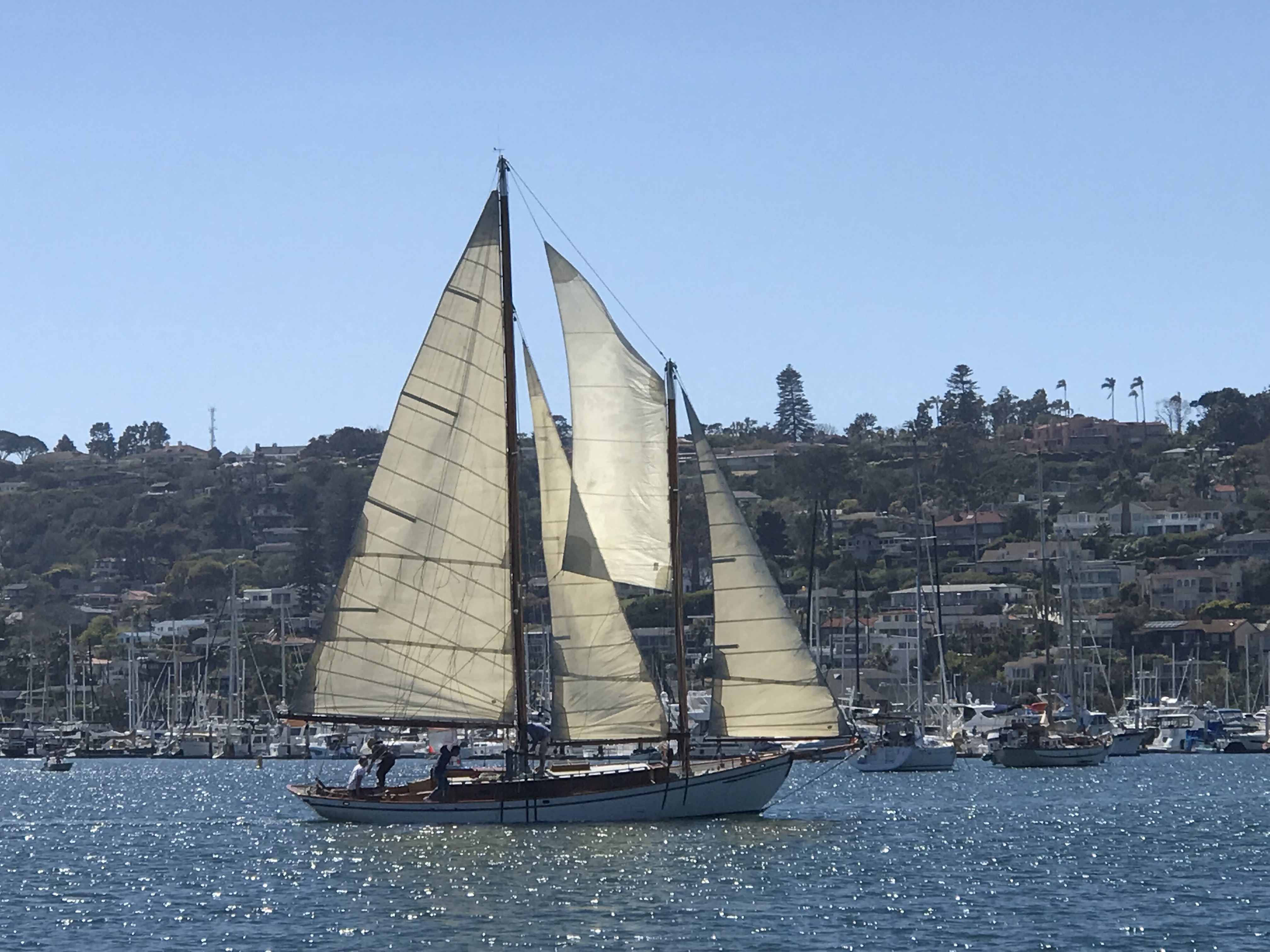 Americas Schooner Cup 2023